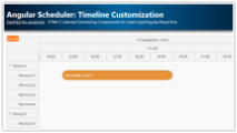 Angular Scheduler: Timeline Customization